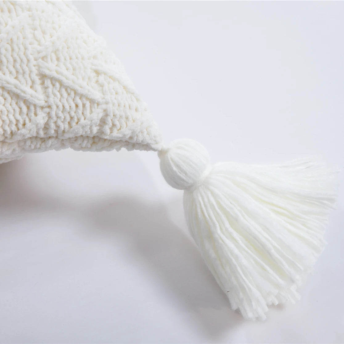 Beautiful chenille pillowcase with tassels, excellent for your living room or bedroom